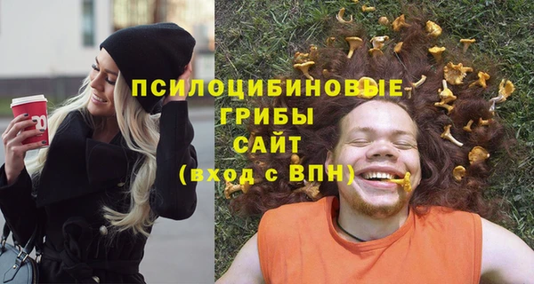 герыч Верхний Тагил