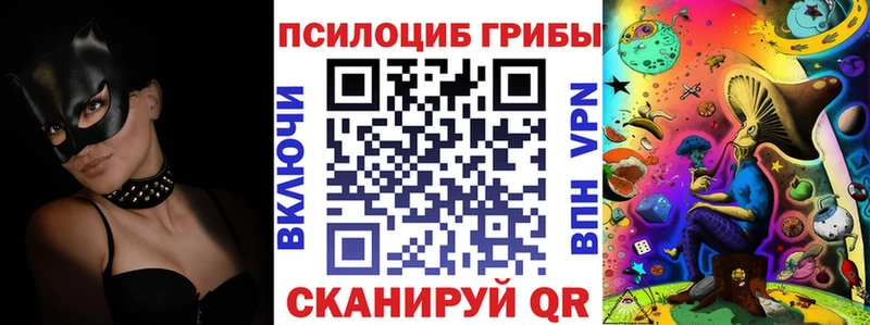 kraken вход  Горняк  Псилоцибиновые грибы MAGIC MUSHROOMS 