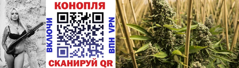 Марихуана тримм  нарко площадка официальный сайт  Горняк 